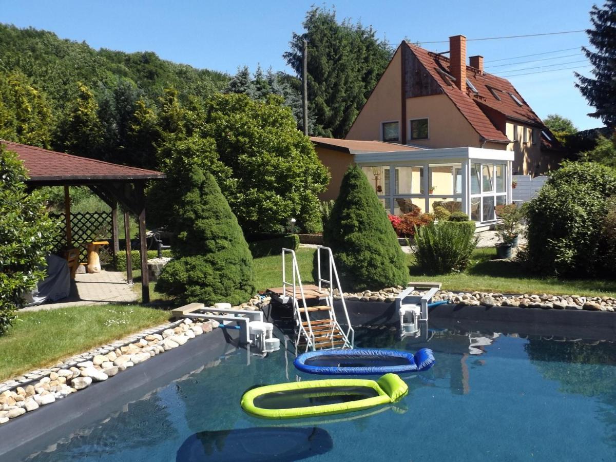 Cosy Apartment With In Pirna With Private Terrace 客房 照片
