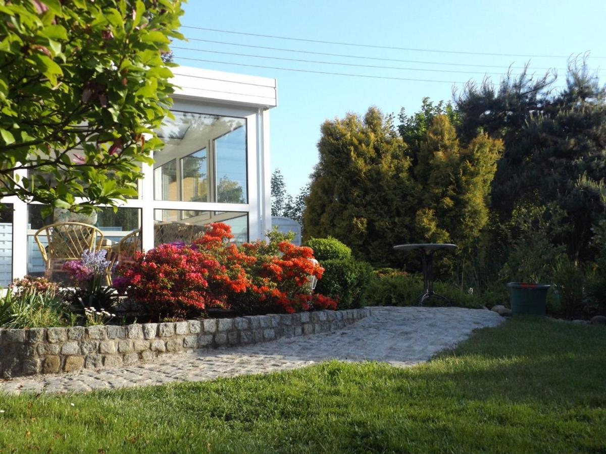 Cosy Apartment With In Pirna With Private Terrace 客房 照片