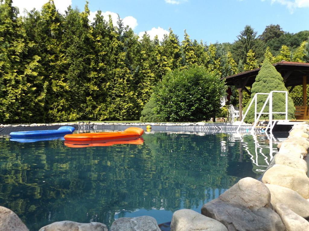 Cosy Apartment With In Pirna With Private Terrace 外观 照片
