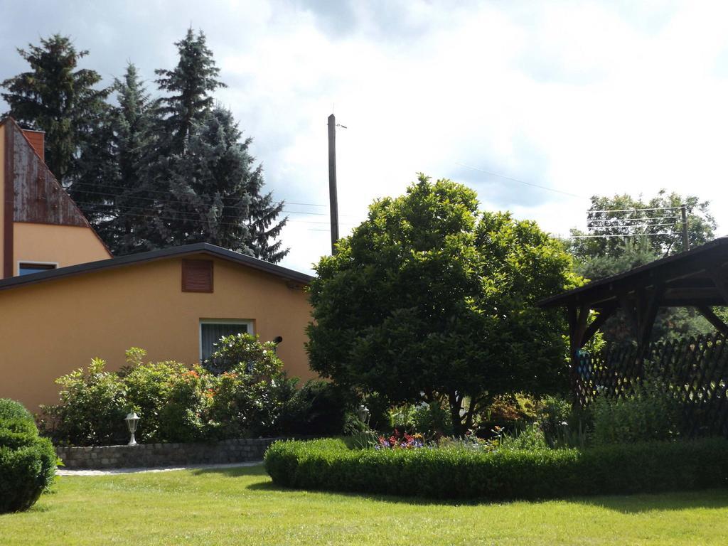 Cosy Apartment With In Pirna With Private Terrace 外观 照片