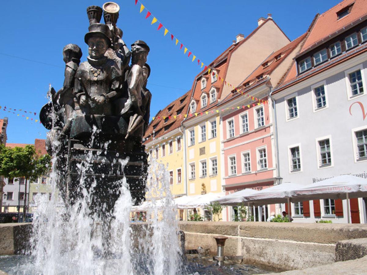 Cosy Apartment With In Pirna With Private Terrace 外观 照片